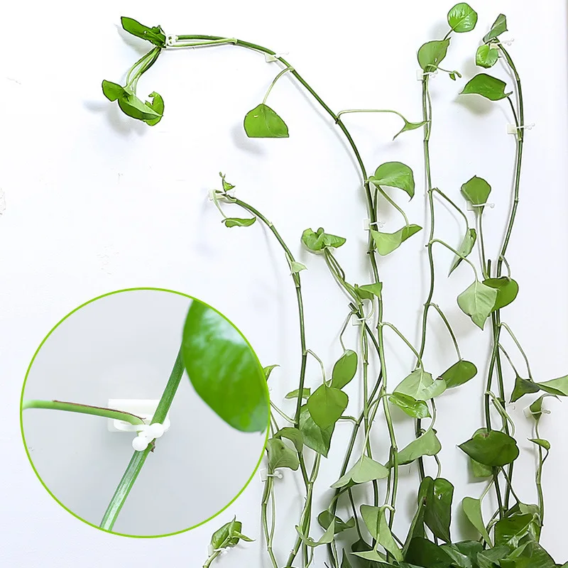 Plant Climbing Wall Clip Invisible Wall Rattan Fixing Device Sticky Hook Clear 