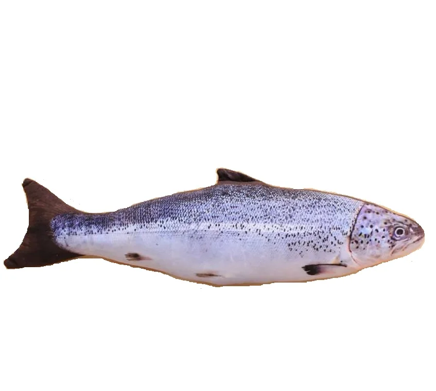 Electric Plush Auto-Moving Catnip Toy Eco-Friendly Soft Wave Tail Robot Salmon Fish Lifelike Style