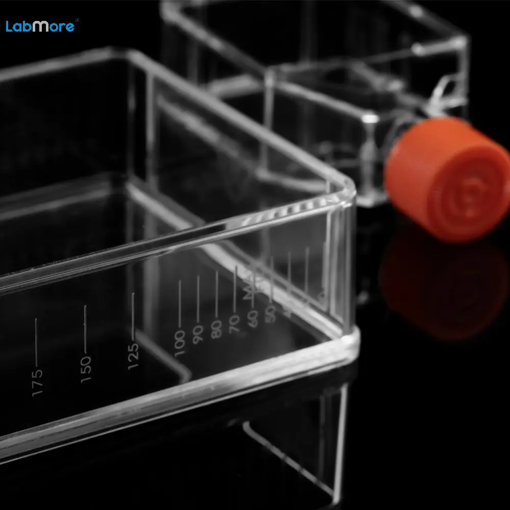 25cm2 Tc Treated Vented Cell Culture Flask For Laboratory Adherent Cell