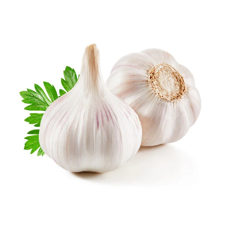 wholesale production Pure garlic with factory price