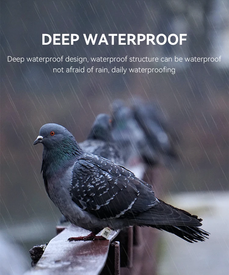 Bird Gps Tracker Gps Tracking Foot Ring For Bird Outdoor Flying Buy