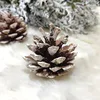 brown 5-6 sticky white pine cones