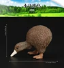 429 Kiwi Bird