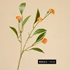 Arancione