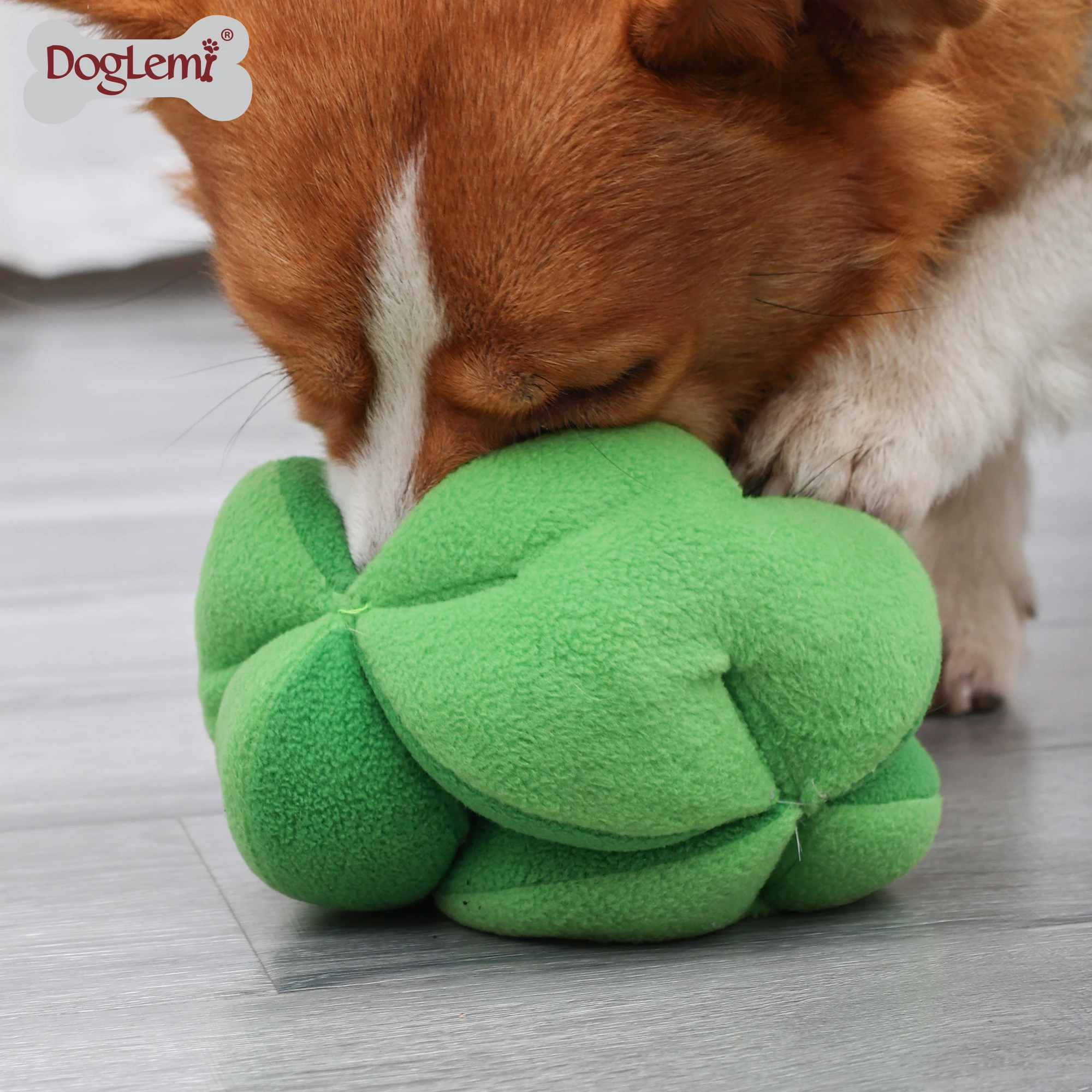 Interactive Broccoli Design Dog Toy Durable Small Medium Funny Squeakers Best Pet Carton Packaging Lovely Simple Cartoon Style