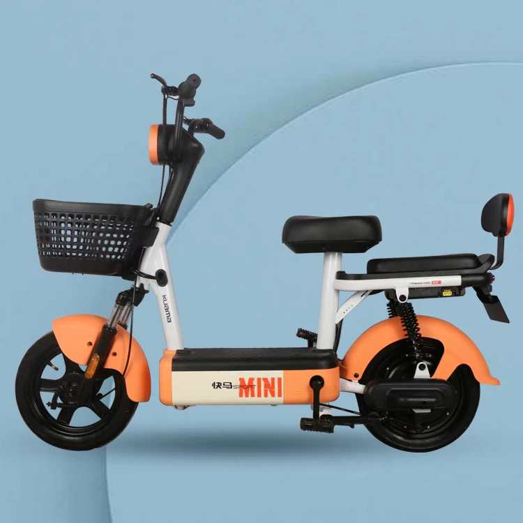 Classic New style Electric bicycle
