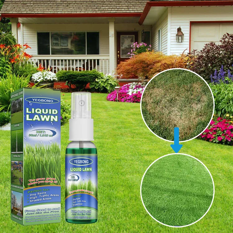 Hot Sale Green Grass Lawn Spray Household Seeding System Liquid Spray
