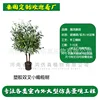 Plastic potted plant 2 (deposit link)