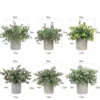 Green Artificial Potted Plants
