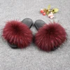 Raccoon Wine Red