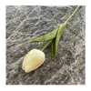 fiori di tulipano beige