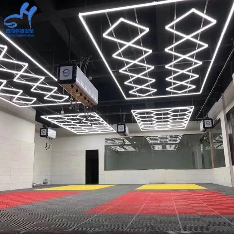 The Customized Led Hexagon Light Modern Ceiling Lights Car Workshop Light