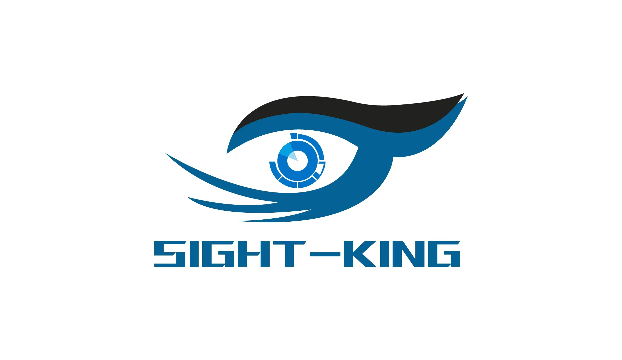 Company Overview Shanghai Sight King Smart Technology Co Ltd