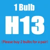 เอช13
