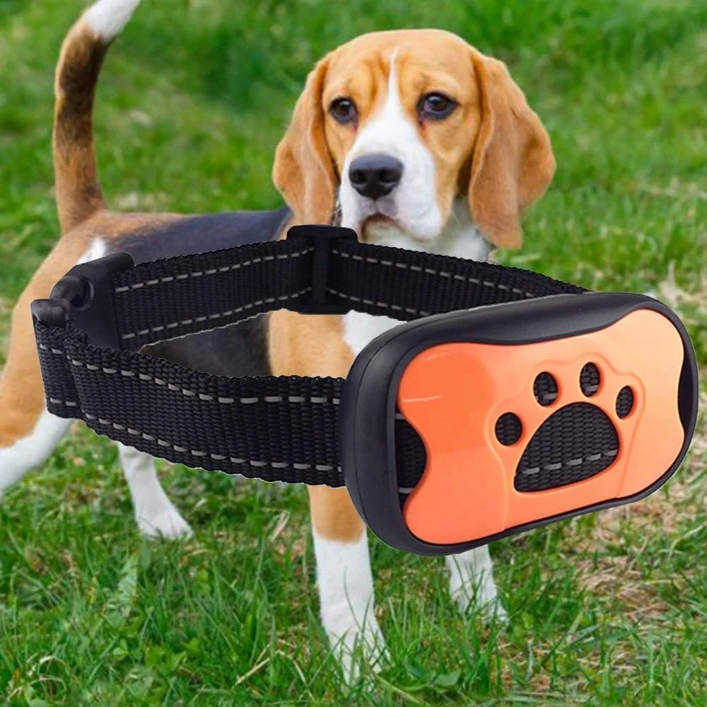 Beagle Dog Collar Best Bark Collar For Beagle A Mazon Top Selling