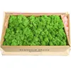 กล่องสีเขียวมรกต 500 กรัม