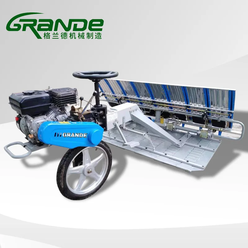 6 Row Riding on Walking Rice Transplanter Paddy Rice Planter Machine