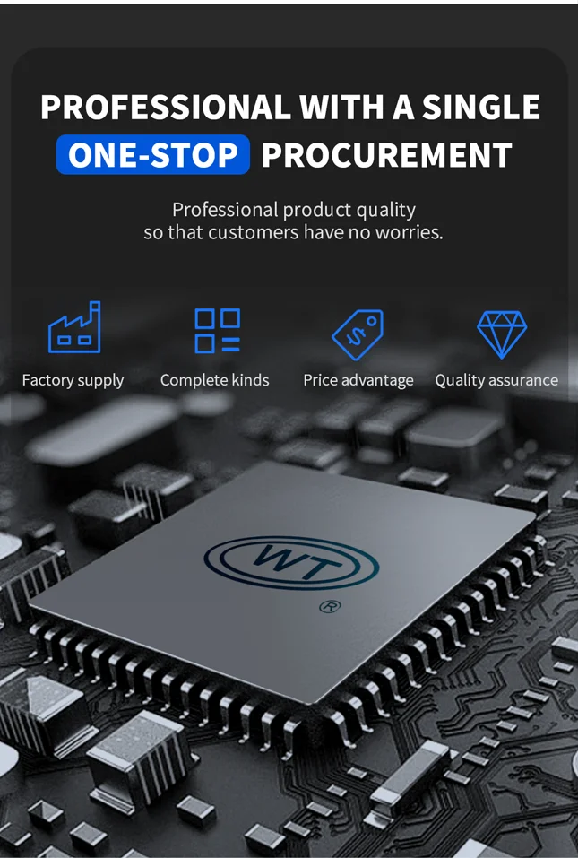 Personalize Programmable Sound Voice Chip Ic Mini Voice Recording