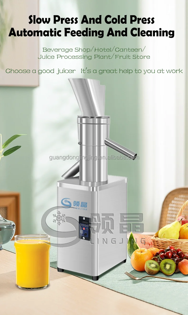 Slow Juicer Best Way To Store Juice From Juicer 1200W Fully