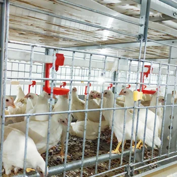 Type 3 Tier Broiler Chicken Automatic Poultry Electric Battery Cages Chicken Broiler House Design for Poultry Chicken