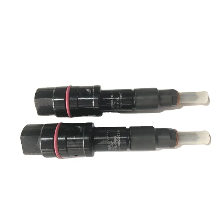 もんチさん　専用 Cnhtc Sino Truck Sinotruck Auto Parts - Fuel Injector
