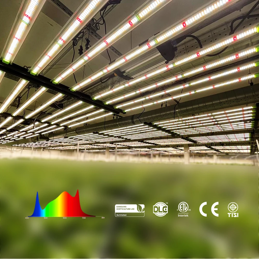 Flexstar US/TH/CA in Stock Customized Spectrum Dimmable 4 / 6 / 8 / 10 Bars 2.8umol/J Dimmable LED Grow Light