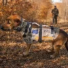 CAMUFLAJE