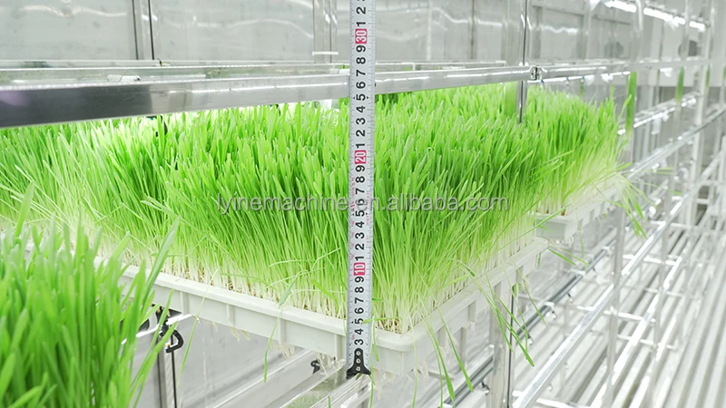 Lyine Hydroponic Fodder Systems Container for Farm Hydroponic Growing Systems Fodder