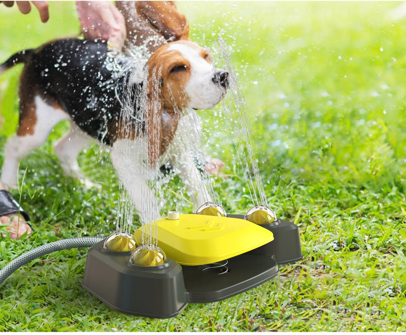 Interactive Dog Water Fountain Fun Hydration Outdoor