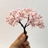 Colorido rosa pálido, 10 cm de alto