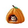 Color calabaza
