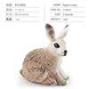 T15072 hare model 10g