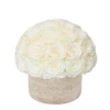 Bianco 45 rose