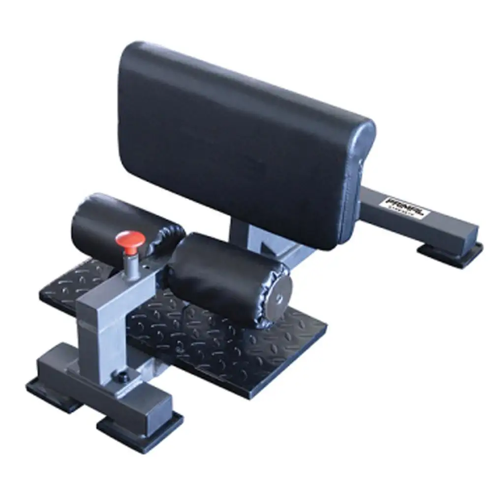 Gym Hip Trainer Sit up Machine for Sissy Squat Machine and Sissy Abdominal Workout Gym Machine