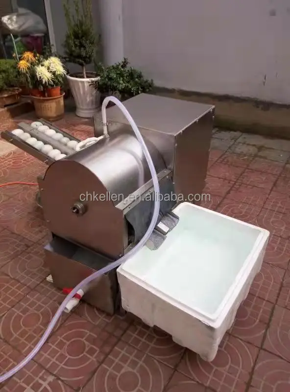 Automatic Egg Washer / Salted Duck Egg Washing Machine For Sale Buy
