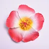 Bordo rosso