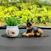 10 cm petit + ginkgo + tampon moyen