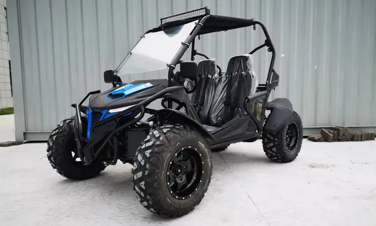 2023 Cheap Price Dune Buggy 4x4 Electric Buggy For Adults - Buy 200cc ...