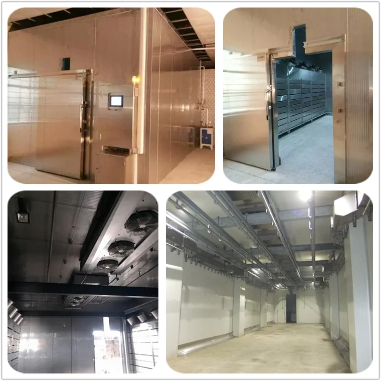 Meat defrost machine for thawing carcasses Debone Abattoir