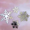Silver-2