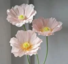 rose3 fleurs/set