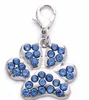 Paw-Blue