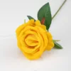 Giallo2