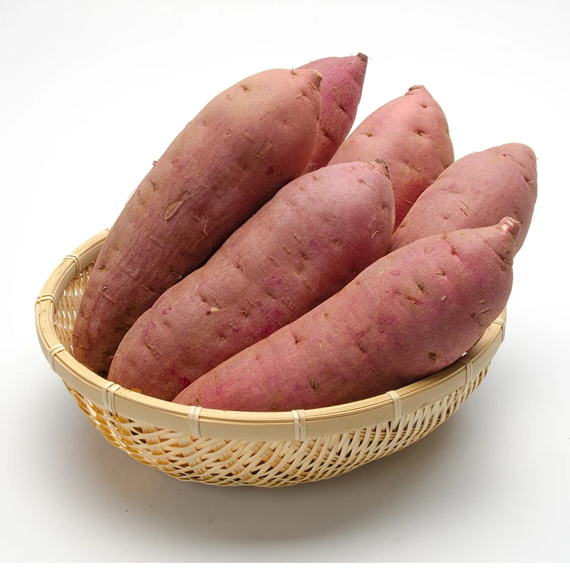 Japanese healthy natural delicious sweet purple potatoes for wholesale