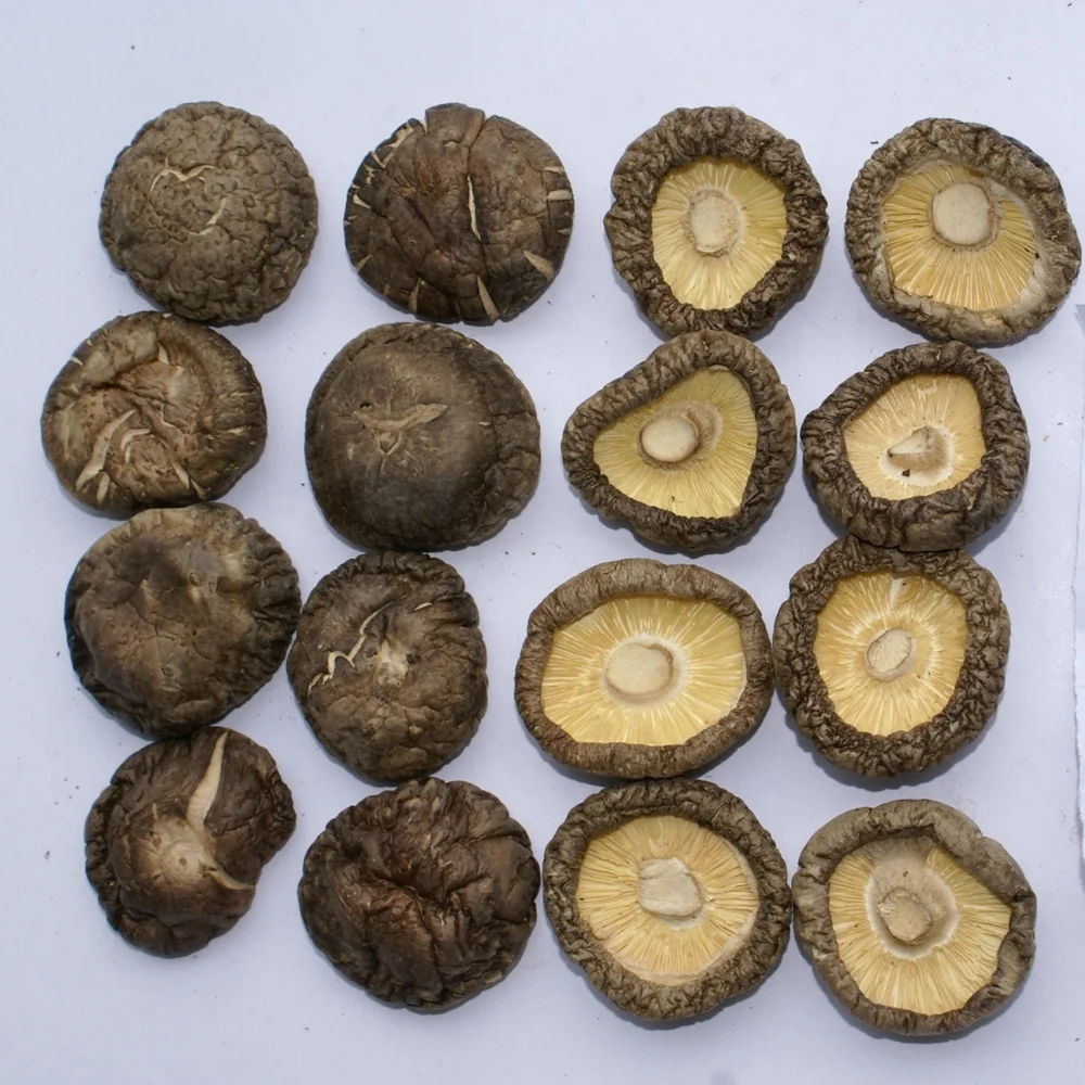 Wholesale price dried black shiitake mushrooms