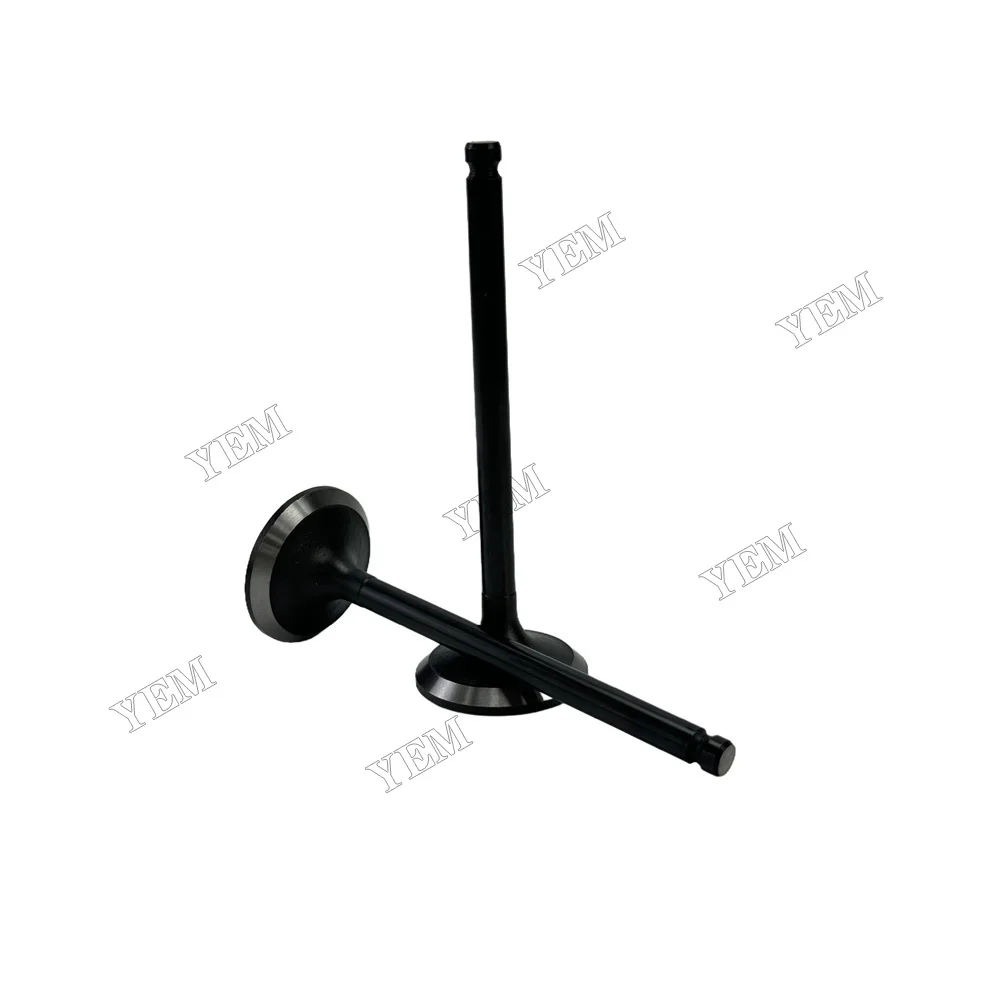 Intake Valve Fit for Mitsubishi S3L Engine 3