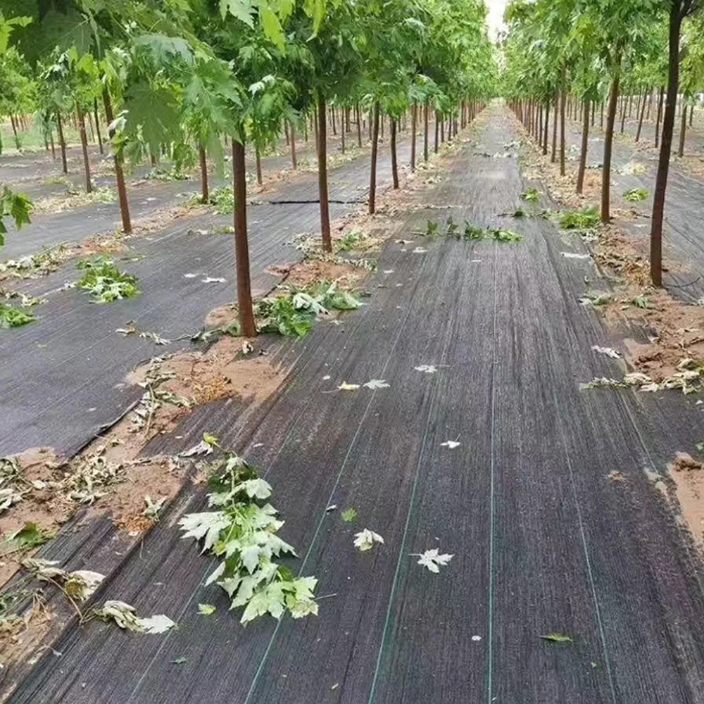 Pp Pe Black Plastic Weed Control Barrier Mat Block Fabric Buy Pp Pe Black Plastic Weed Control