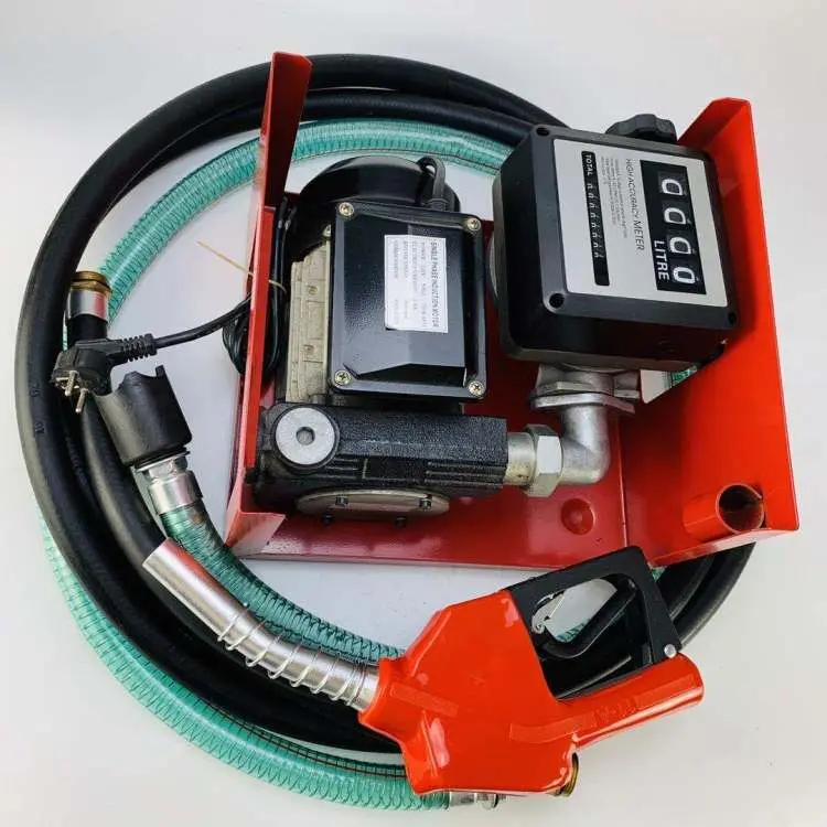 Portable Electric Transfer Pump For Petrol Diesel 110v 220v Buy