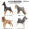Coloridos 4 modelos de perros medianos de TB (juego B)