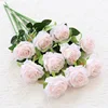 Rosa pallido
